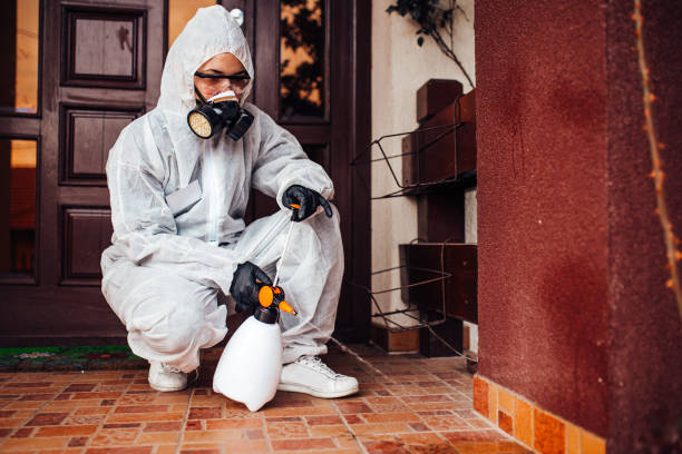 Reliable Cockroach Control contractor in Wesley Chapel, FL by Nex Pest Control